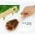 Import Wooden Handle Natural Coconut Palm Pot Brush Kitchen Pans Dishes Cleaning Brushes from China