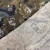 Import woven twill leave woodland t/c polyester cotton waterproof leaf greta camo workwear camouflage fabric for army military hat from China