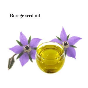 XIAN TAIMA Factory Supply Pure Natural Extract Carrier Oil Borage Seed Oil
