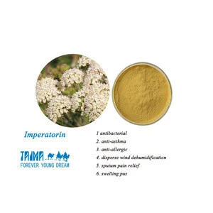 Xiantaima Supply Bulk Supply Herbal Extract 98% Imperatorin