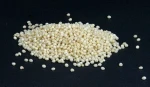 Yellow pearl millet