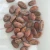 Import Cocoa from Vietnam