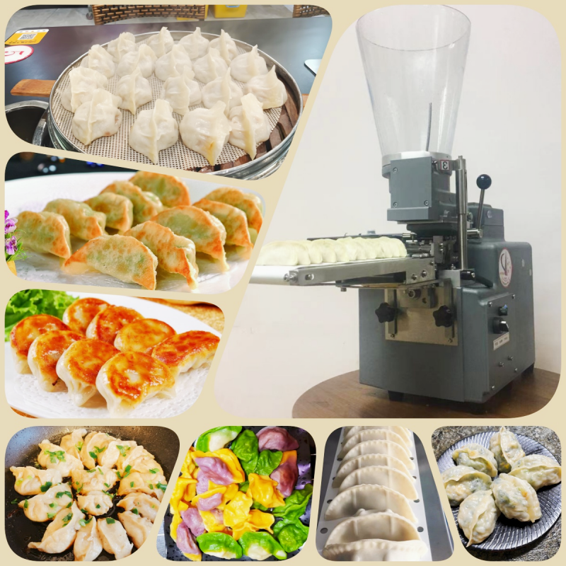 Buy Fried Dumpling Machine, Steamed Dumpling Machine from Anyang Fashun ...