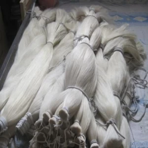 Horse tail,Horse tail hair,horse tail brushes,horse tail hair supplier