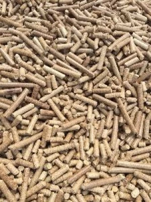 Rice Husk Pellet and Briquette from Vietnam