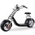 Import 18 inch fat tire style citycoco electric scooter from China
