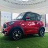 2 Seaters Newest Popular Chinese Mini Electric Car New Energy Electric Car