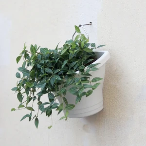 Wall-mounted flower pots