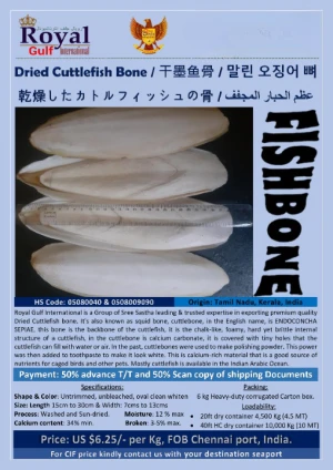 Dried Cuttlefish Bone (Cuttlebone) Untrimmed, Washed and Sun Dried