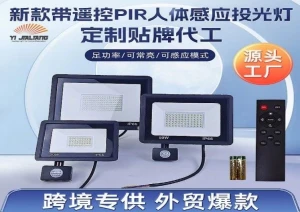 Outdoor LED Flood Light