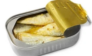 Canned sardine fish