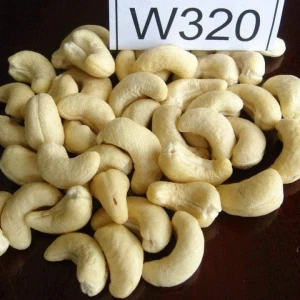 Cashew Kernel W320 Dried Style Raw Processing Cashew