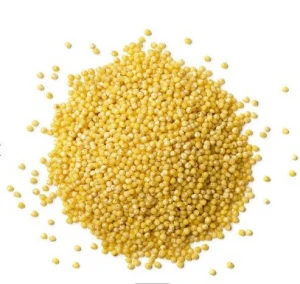 Yellow millet