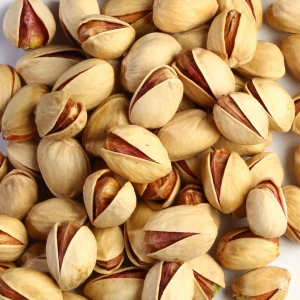 Fandoghi Pistachio