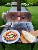 Auplex Combined BBQ and Pizza Oven Machine | OEM Pizza Oven Maker