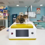 980nm 15W/20W /30W Veterinary Dog and Cat Physiotherapy Laser Machine