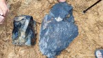 High Quality Steam Coal