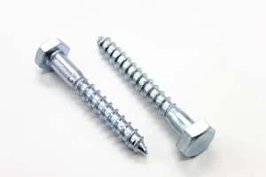 DIN571 Hex Head Wood Screw