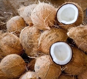 coconut husked & semi-husked