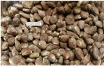 Palm Kernel Seeds and Oil