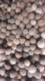 Semi Husked Coconut