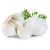 Import Fresh Garlic For Export High Quality Fresh Garlic With Pure Flavor And Natural Rich Taste For Bulk Buyers from South Africa