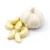 Import Fresh Garlic For Export High Quality Fresh Garlic With Pure Flavor And Natural Rich Taste For Bulk Buyers from South Africa