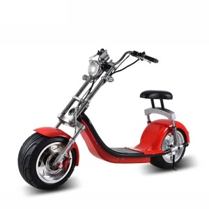 18 inch fat tire style citycoco electric scooter