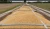 Import Premium Quality Soy Beans for Food & Feed Use from South Africa