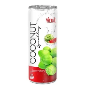 Premium product 250ml Canned VINUT Coconut sparkling water with watermelon flavour