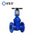 Import SYI Ductile Iron DIN 3352 F4 Rising Stem Metal Seated Gate Valve from China