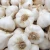 Import Fresh Garlic For Export High Quality Fresh Garlic With Pure Flavor And Natural Rich Taste For Bulk Buyers from South Africa