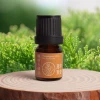 Essential Oils Manufacturer for Mind and Body Balance