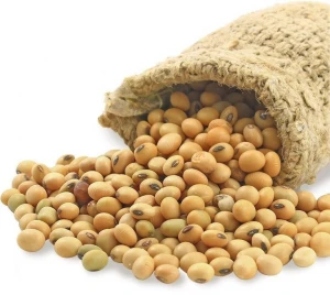 Top Grade Non GMO Dried High Protein Soybean Seed