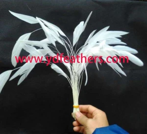 Stripped natural white rooster tail feather