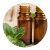 Import Organic Spearmint Oil (Mentha Spicata) from India