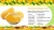 Import Natural Mango Pulp from India