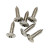Import Self tapping screw from China