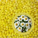 Chamomile Encapsulated Beads