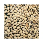 Premium Grade Non-GMO Black Eyed Peas Bulk for Large Scale Wholesale and Retail Supply