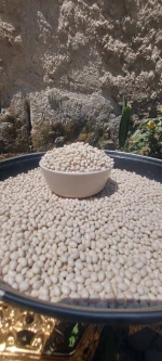 White Pea Beans Haricot Beans