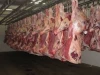 Frozen Meat and Halal Meat