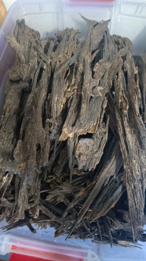 Agarwood Chips (Oud Chips)