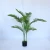Import 10 leaves 135cm  5724# palm tree artificial from China