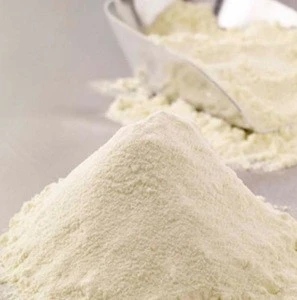 100% Pure Coconut Milk Powder, Coconut Powder