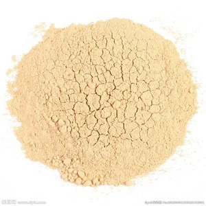 100% Pure Dehydrated Ginger Powder Dried Vegetable