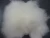 Import 100% pure fine Inner Mongolian dehaired natural white goat sheep wool cashmere fiber with SGS from China