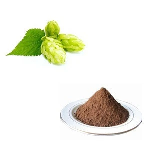 100% Pure Natural Hops Flower Extract 10:1 Powder