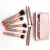 Import 10PCS Synthetic Hair Cosmetic Brush Set with PU Bag from China