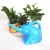 Import 1.5 Liter Elephant Watering Plant Pot Long Mouth Novelty Garden Water Kettle Sprinkler Tool Plastic PE Plant Sprinkling Can from Pakistan